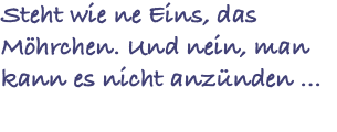 Steht wie ne Eins, das Möhrchen. Und nein, man kann es nicht anzünden ...